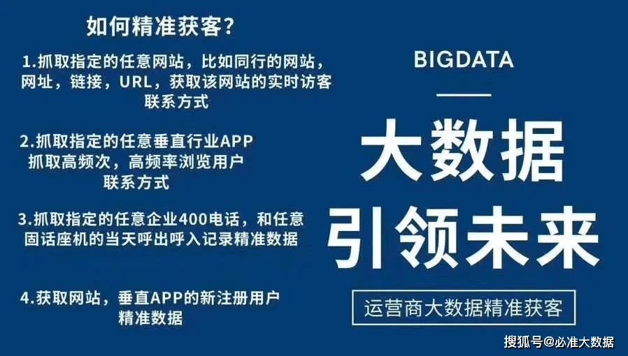 揭秘2024新奥正版资料最精准免费大全，深度解读与全面应用策略