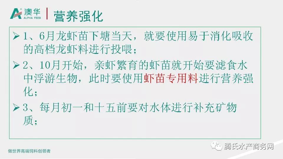 新澳资彩长期免费资料，级解释义与落实的重要性