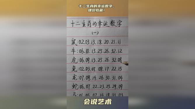 揭秘2024十二生肖与数字49的奇妙联系，进度释义、解释与落实之道