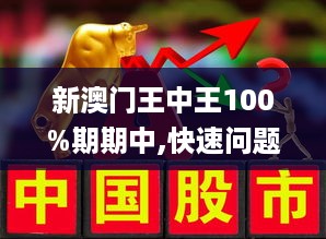 新澳门王中王100%期期中，深奥释义、解释与落实