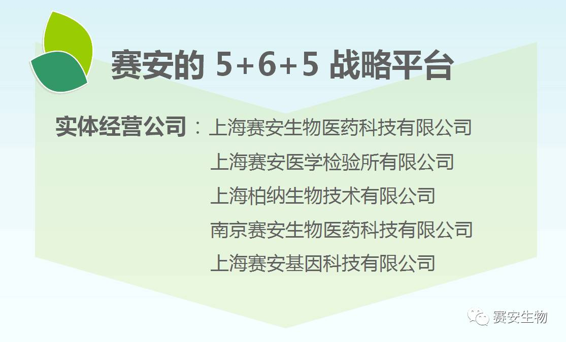 细微之处见真章，解读澳门正版挂牌与未来的新机遇（2025展望）