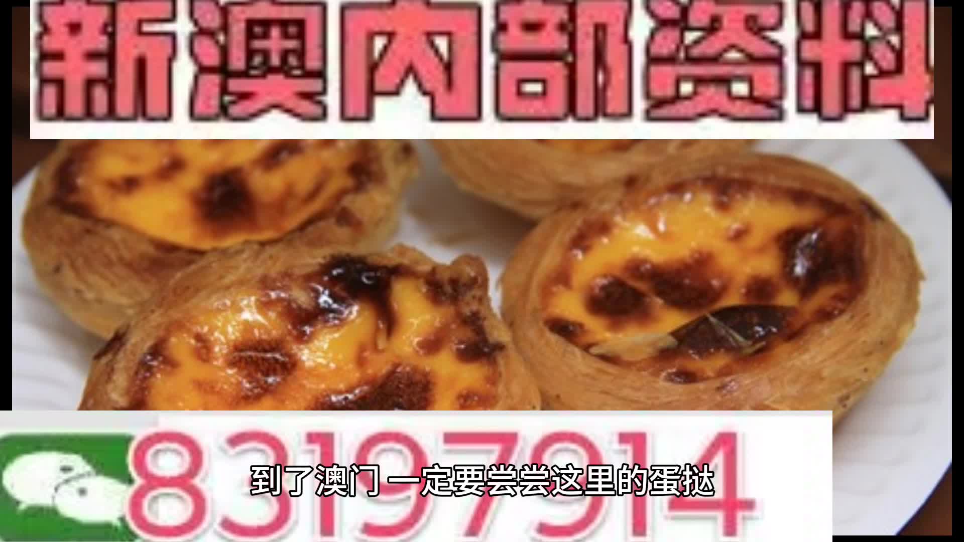 新澳门资料大全正版资料与惠顾释义，深度解析与落实策略