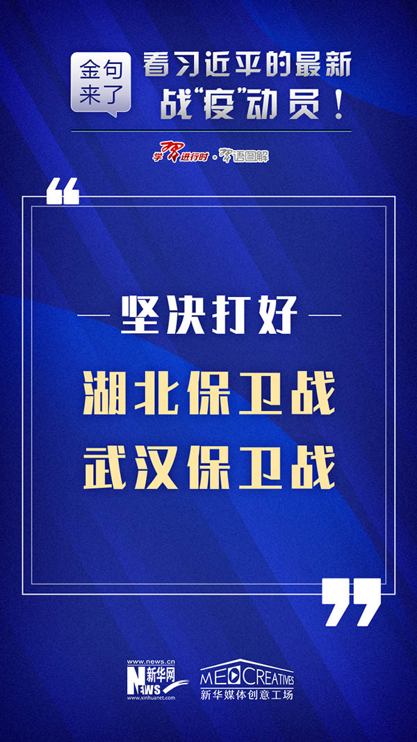 新澳门免费资料挂牌大全，深度解析与实际应用