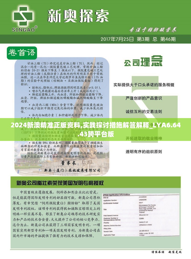 新澳2025年精准资料33期与闪电释义，落实的关键要素分析