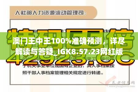 澳门王中王游戏技能释义与落实策略，探索数字世界中的奥秘与机遇（2025年展望）