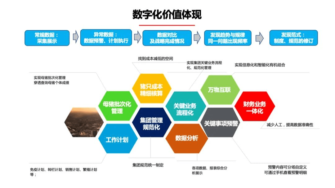 解析新澳门博彩业的发展与精益释义的落实