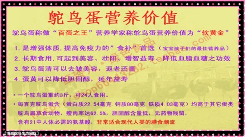 澳门特马今晚开奖，解读干练释义与落实策略