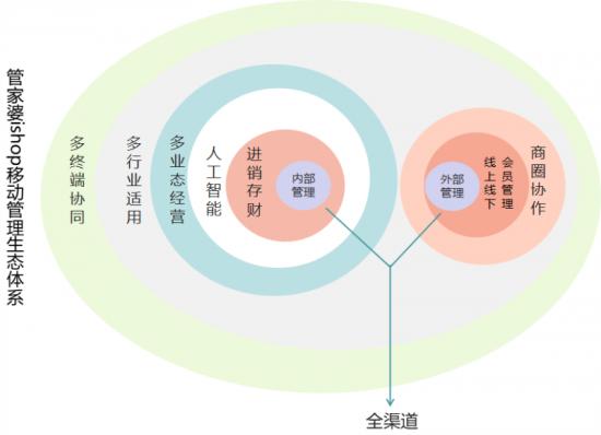 探索精准管家婆系统，潜力、释义与落实策略