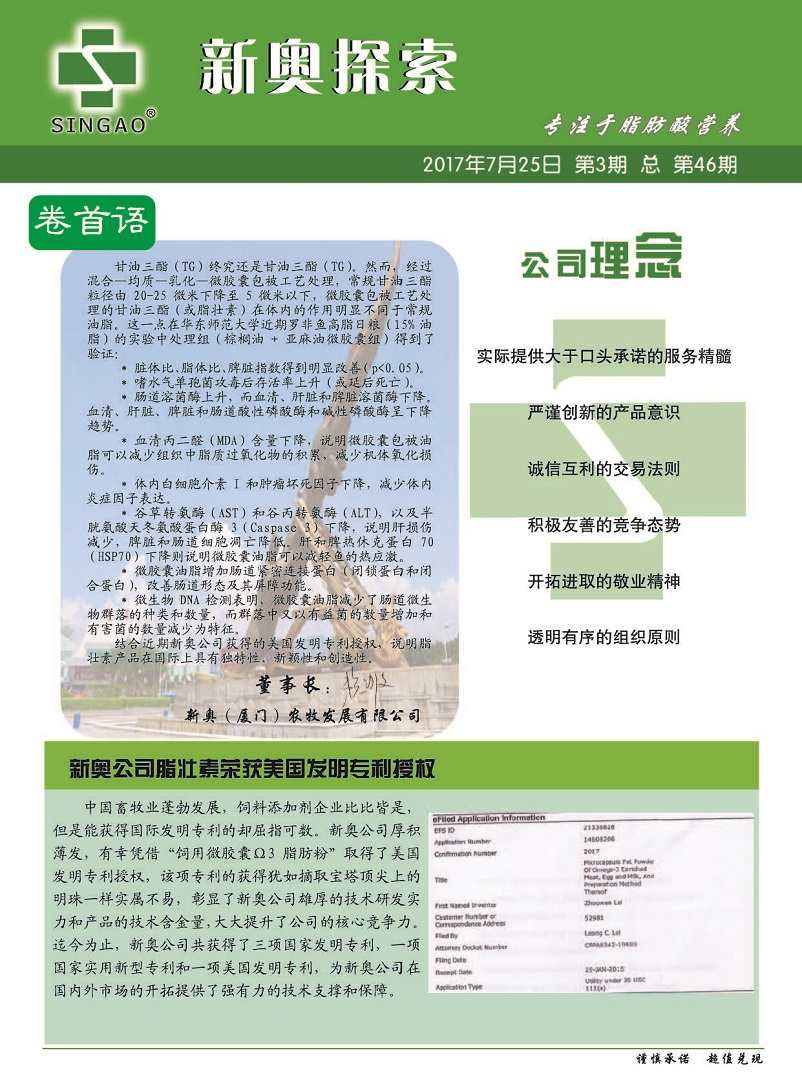 探讨新奥资料，精准正版资料的重要性与整治落实策略