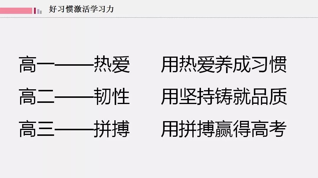 精准一肖一码一子一中，学习释义解释与落实的重要性