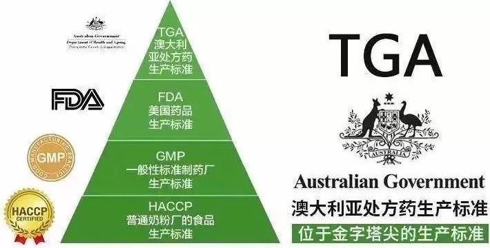 探索未来之路，解析新澳精准正版资料与刺股精神的融合实践