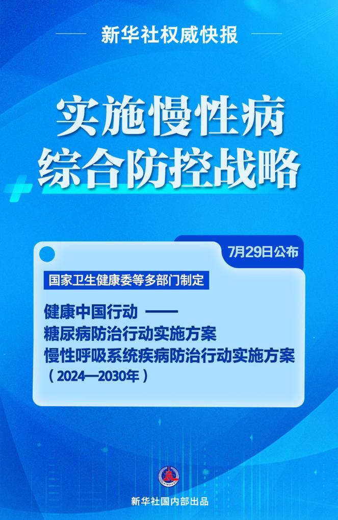 解析新澳精准正版资料，至深释义与落实策略