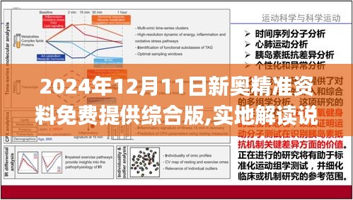 新澳2025年精准资料33期与闪电释义解释落实的综合探讨