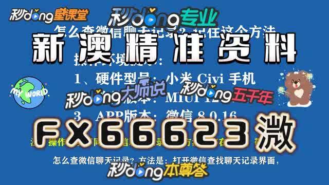 新澳门资料免费精准释义与落实解析