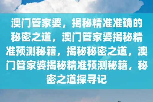 澳门管家婆，精准如神的释义解释与落实之道