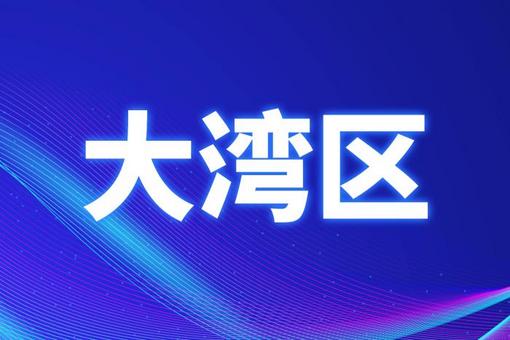 澳门天天彩精准免费资料专责释义解释落实，深度解读与实际应用探讨